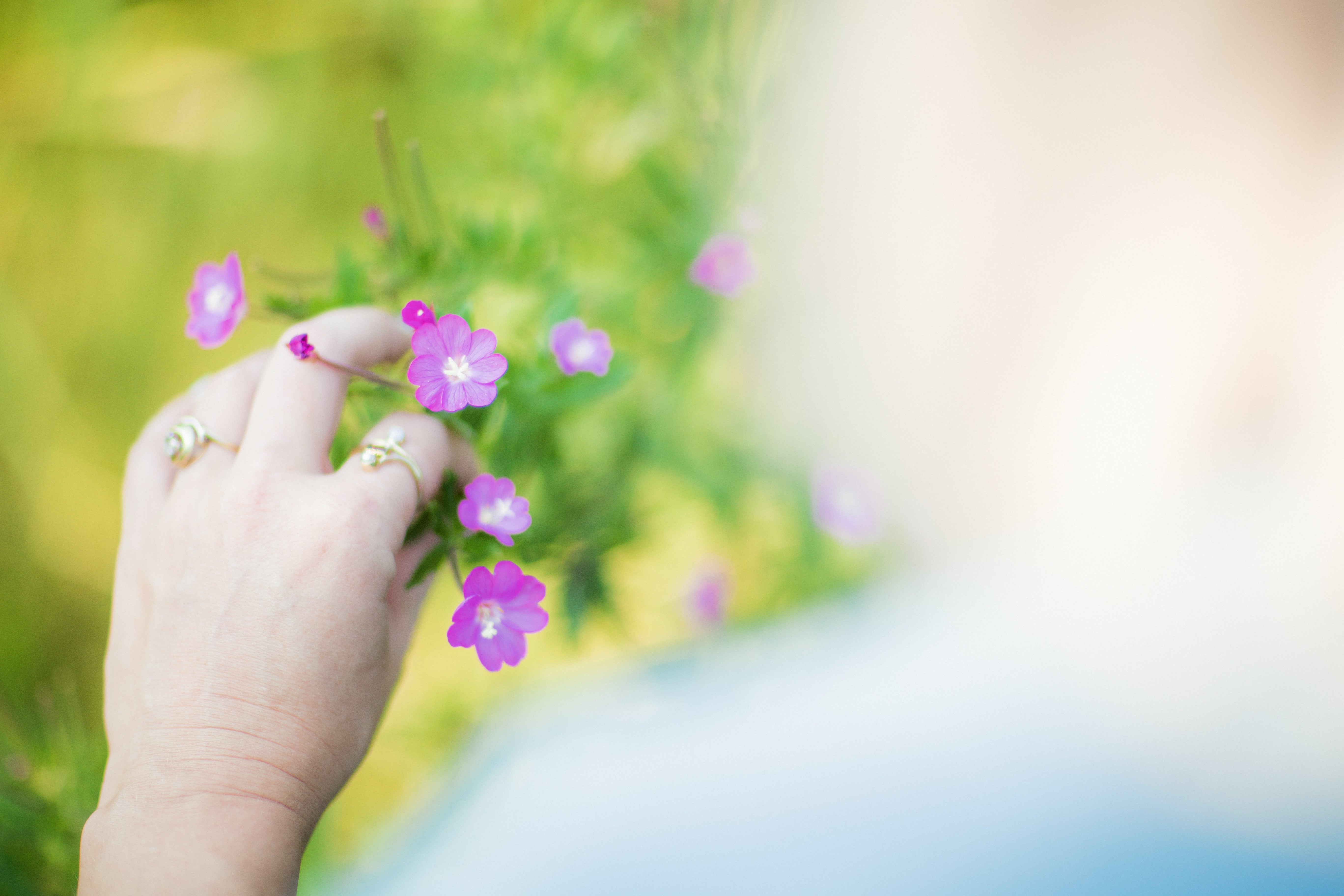 PERSOONLIJK | Hoe verliep 2020?