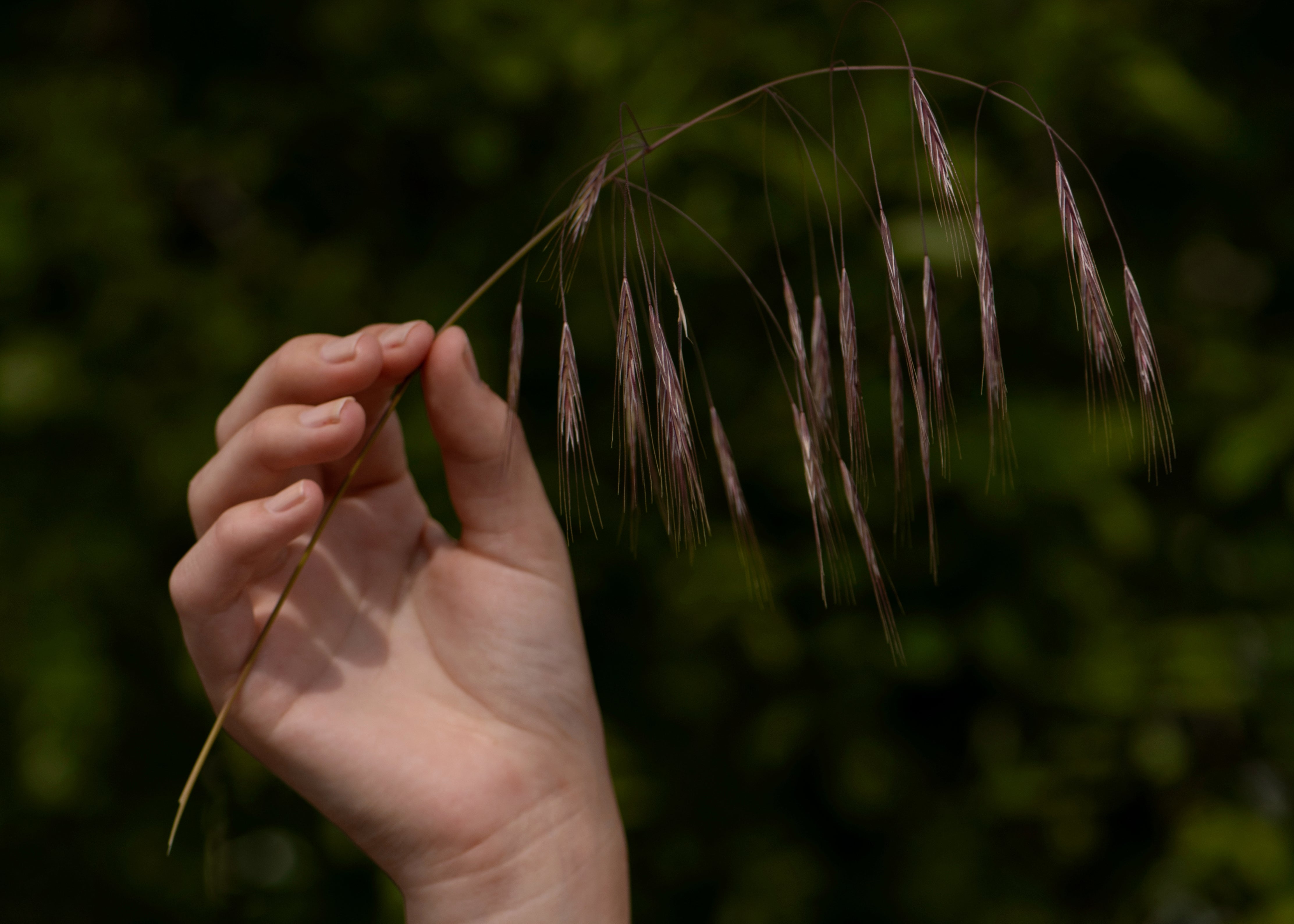 INSPIRATIE  |  Sieraden voor elke bruiloft