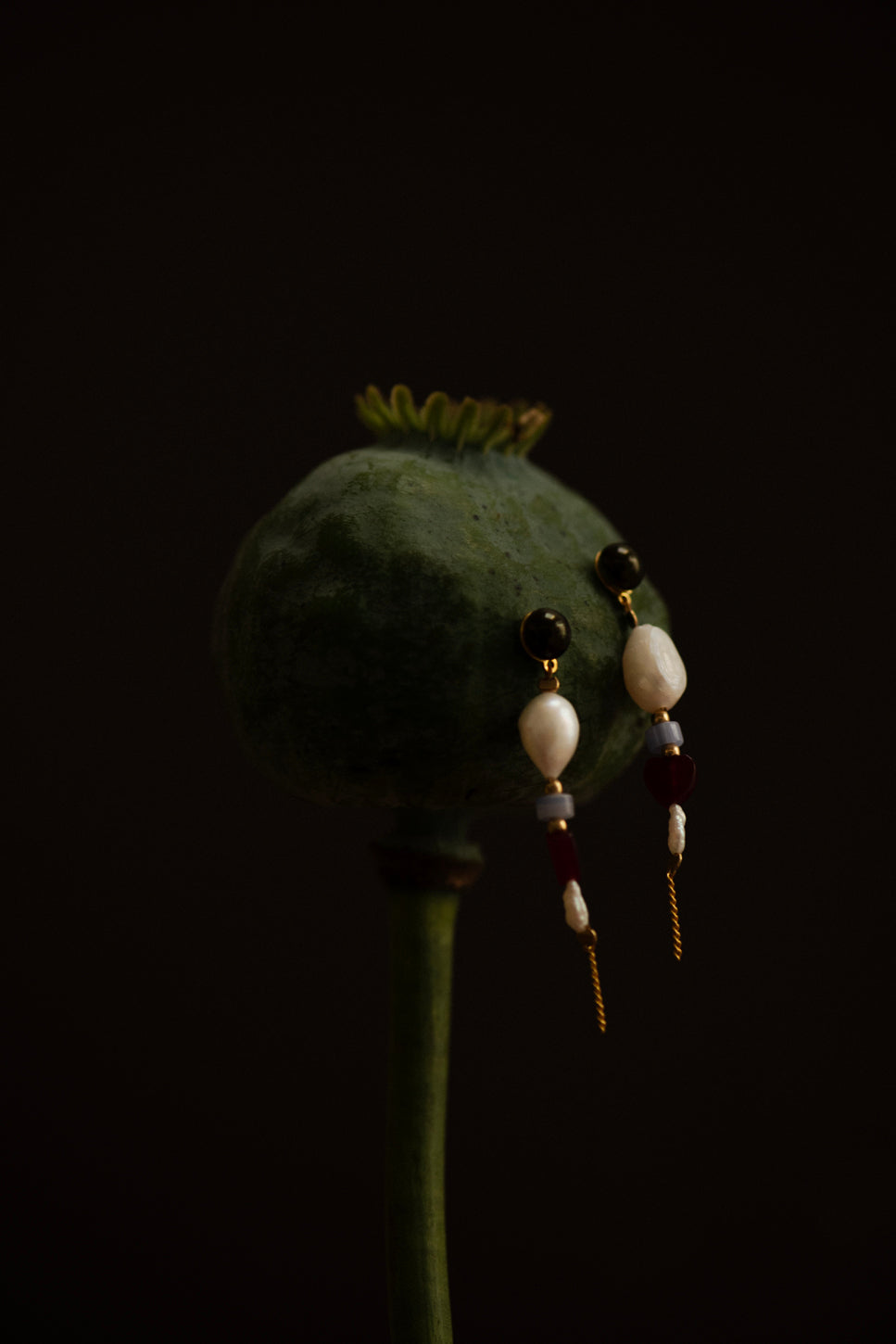 Oorbellen Wild At Heart